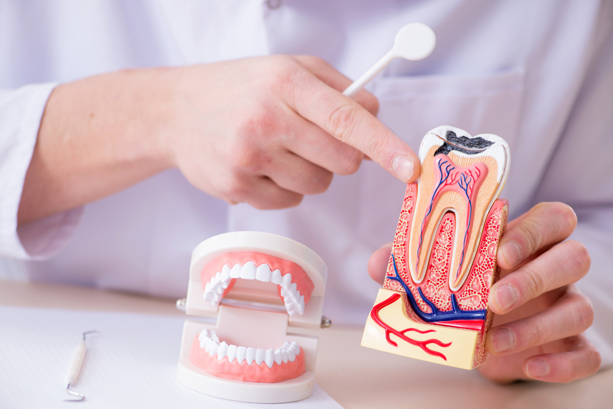 Ortodont vam lahko pomaga do najlepšega nasmeha ter lepo oblikovanih zob